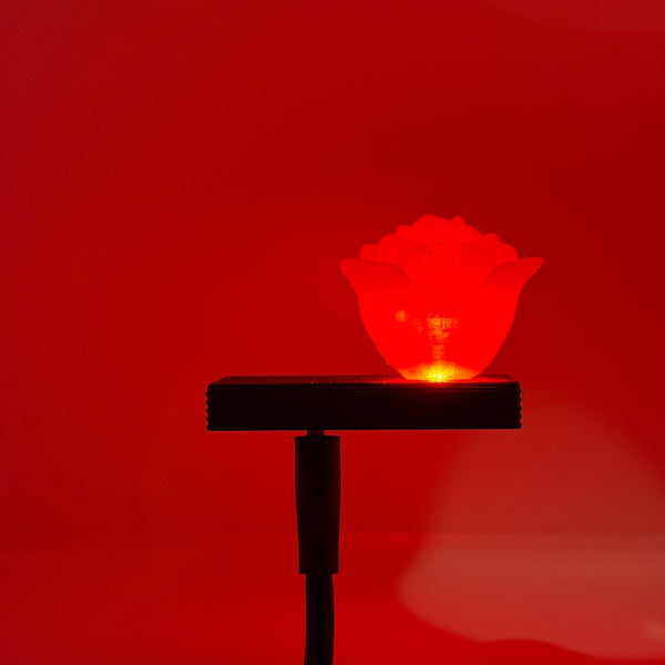 Rose HoloLight Capsule