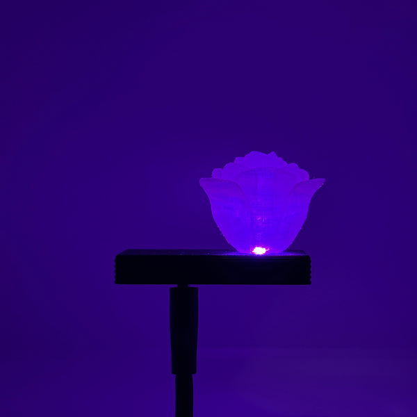 Rose HoloLight Capsule