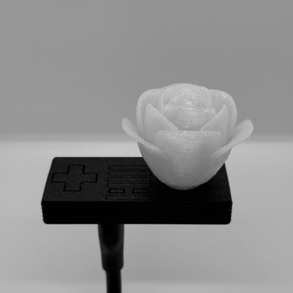 Rose HoloLight Capsule