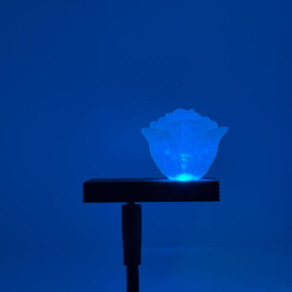 Rose HoloLight Capsule