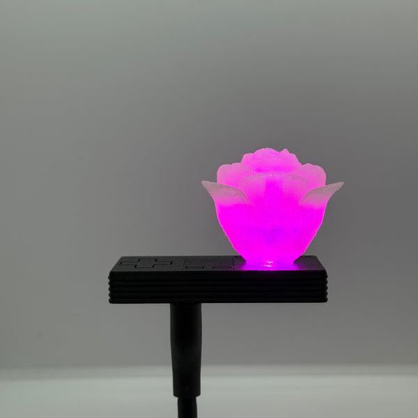 Rose HoloLight Capsule
